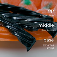 Load image into Gallery viewer, Black Licorice candle scent notes: anise, clove, honey, cinnamon and amyris