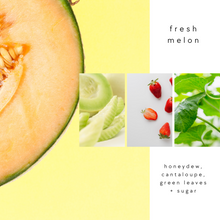 Load image into Gallery viewer, 06 - Fresh Melon - 10oz