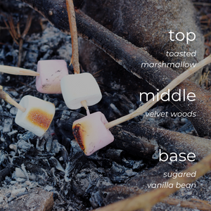 Fireside Marshmallow candle scent notes highlighting sweet marshmallow and warm wood aroma