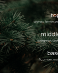raser-fir-scent-notes-soy-candle