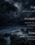 Dark landscape with rocks and water, featuring text about fragrance notes.